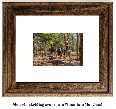 horseback riding near me in Timonium, Maryland